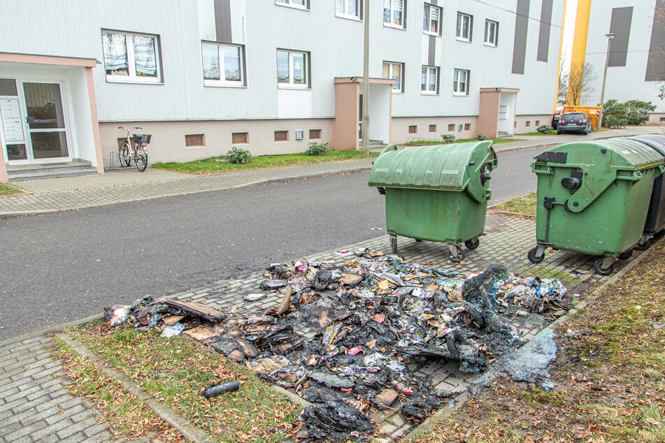 Der Container wurde durch das Feuer komplett zerstört.
