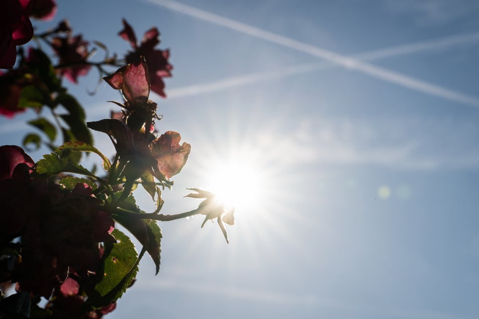 Auch in Dresden und Sachsen bleiben die Temperaturen bei über 30 Grad.