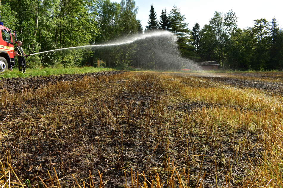 Auch in Lugau gab es einen Feldbrand.