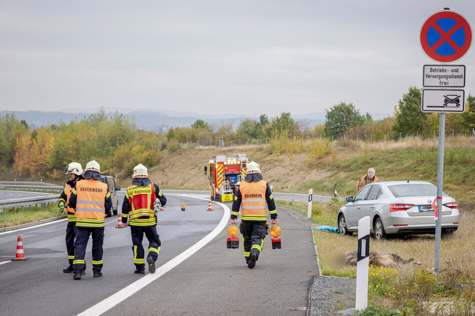 Unfall bei Pirna: Wildschwein von vier Autos erfasst