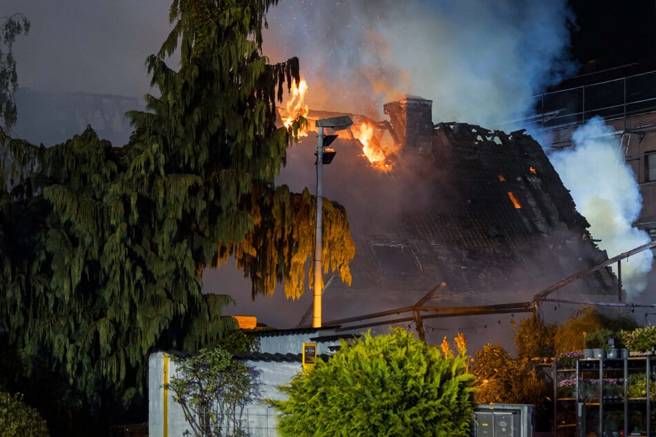 Großeinsatz bei Köln: Gärtnerei steht in Flammen - drei Verletzte!