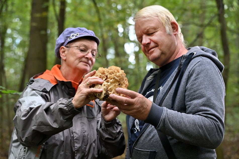 Stefanie Kobrow und ihr Ehemann Dietmar (67) finden eine Krause Glucke.