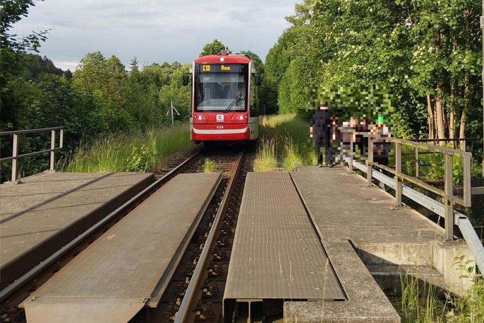 Die Citybahn konnte noch rechtzeitig vor der Brücke bremsen.