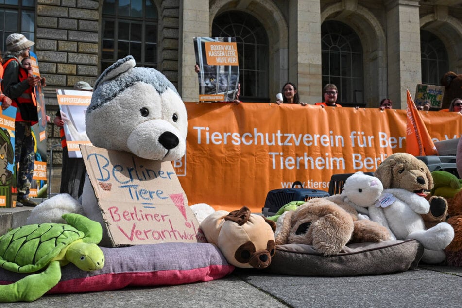 Mehr als 30 Tierschützer haben für Unterstützung vor dem Abgeordnetenhaus demonstriert.