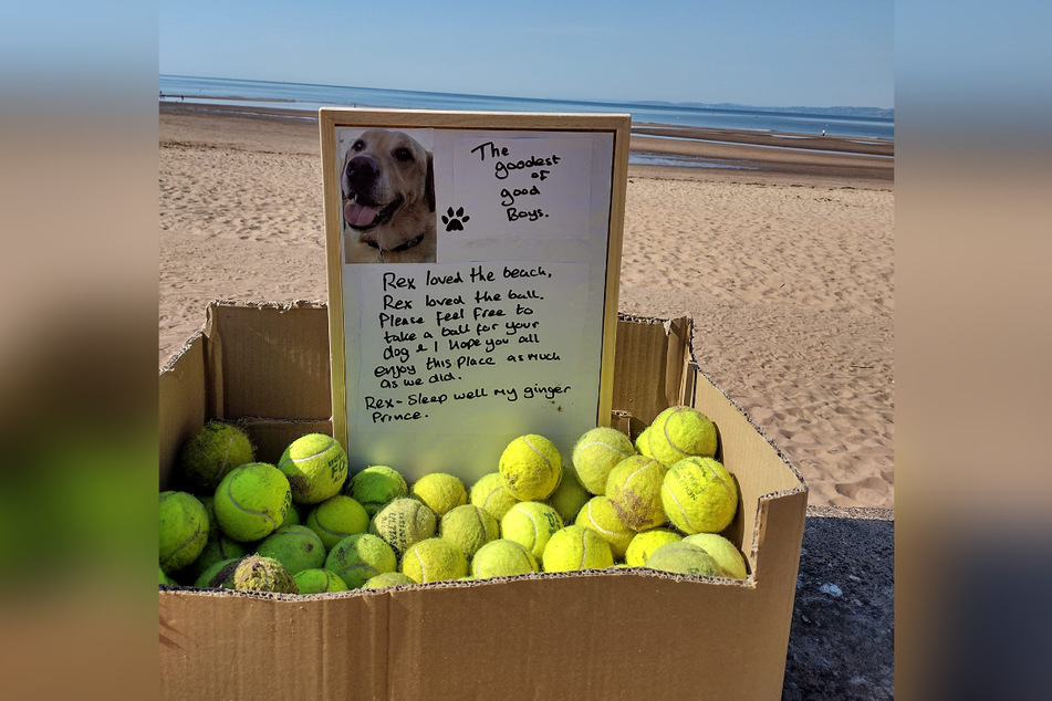 In Gedenken an Rex hinterließ Andy eine Kiste mit Tennisbällen für andere Hundehalter.