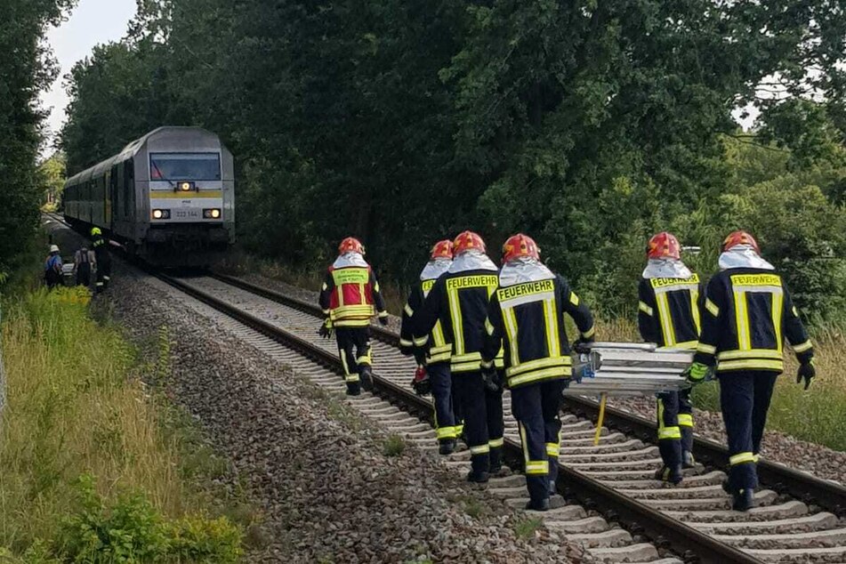 Die Kameraden der Feuerwehren in Bad Lausick und Colditz waren im Einsatz.