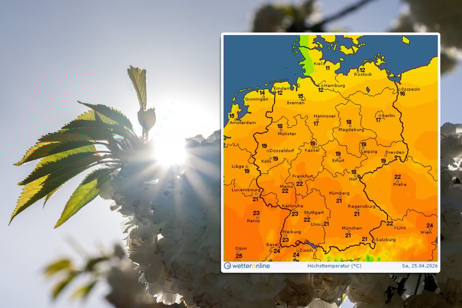 Die Kirschblüten blühen: In Deutschland herrscht aktuell vielerorts ein heiteres Frühlingswetter, doch ...