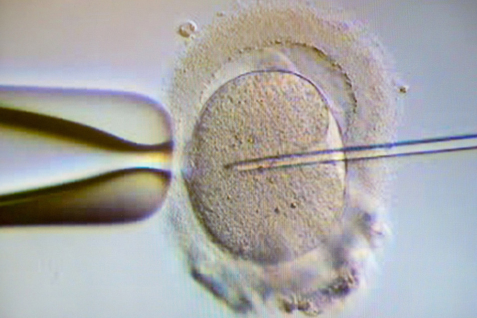 Spermieninjektion in eine Eizelle: Können die Forschungsergebnisse dabei helfen, dass bald auch Menschen mit zwei biologischen Vätern geboren werden?