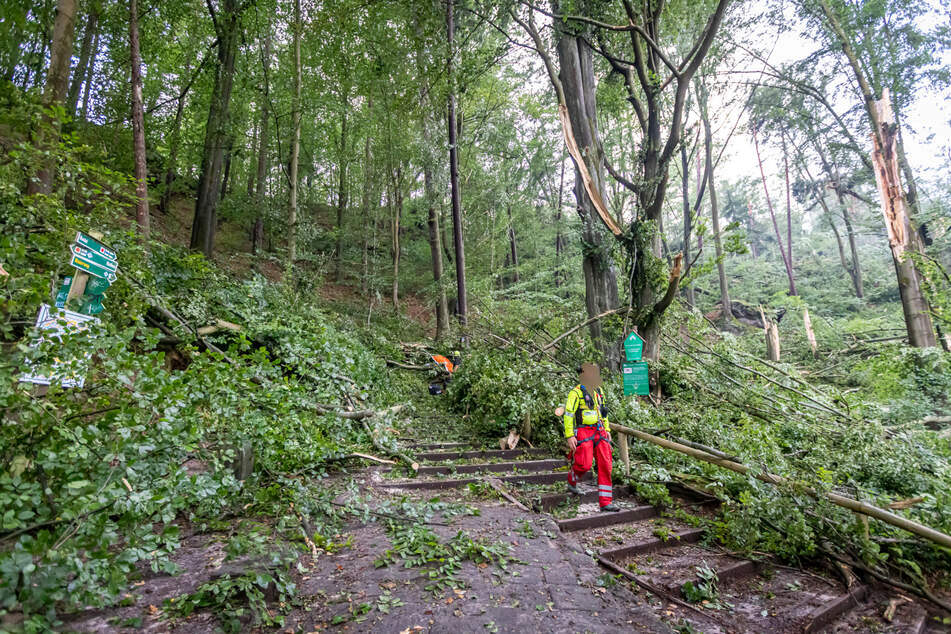Fotos zeigen, wie schwer das Unwetter gewütet haben muss.