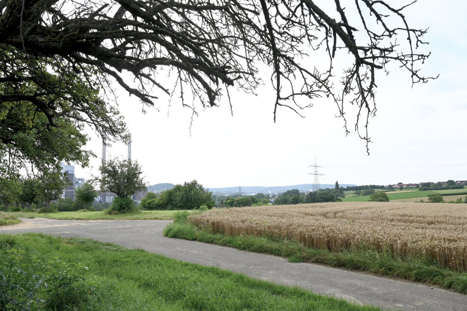 Ein mögliches Gewerbegebiet mit der Bezeichnung "Steinäcker" in der Nähe von Heilbronn ist im Gespräch für einen geplanten Innovationspark für künstliche Intelligenz.