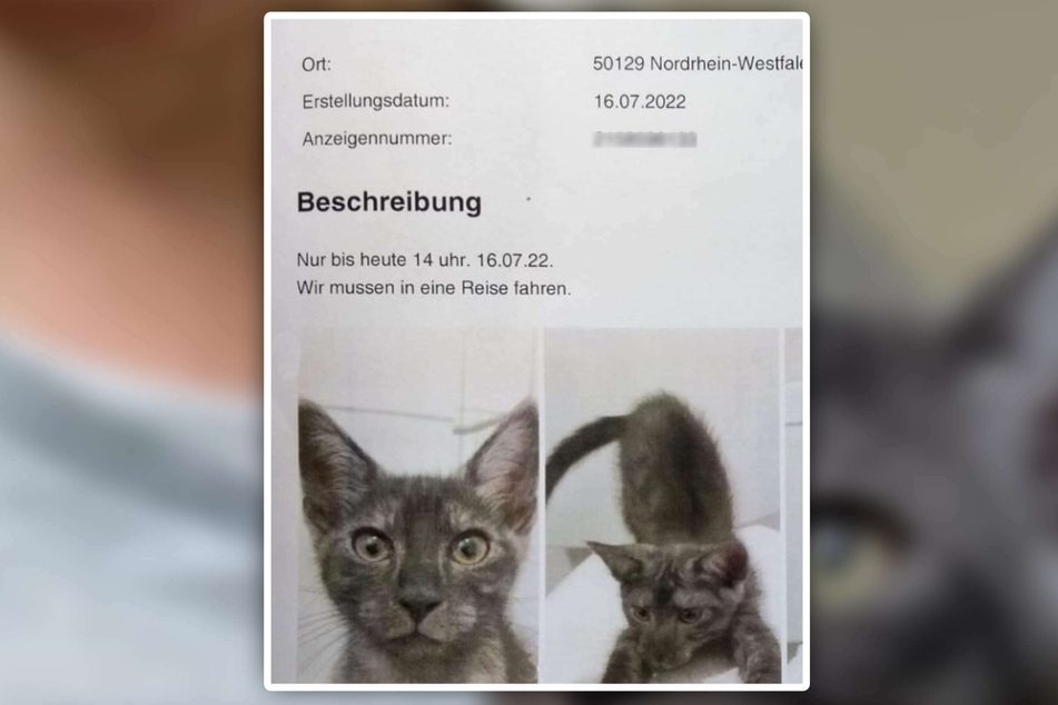 Bei eBay-Kleinanzeigen hatten die Besitzer ihr Tier zu verschenken angeboten.
