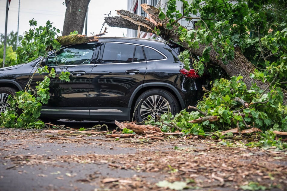 Auch Autos wurden von den umstürzenden Bäumen getroffen - in Spandau ist eine Frau in ihrem Wagen erschlagen worden.