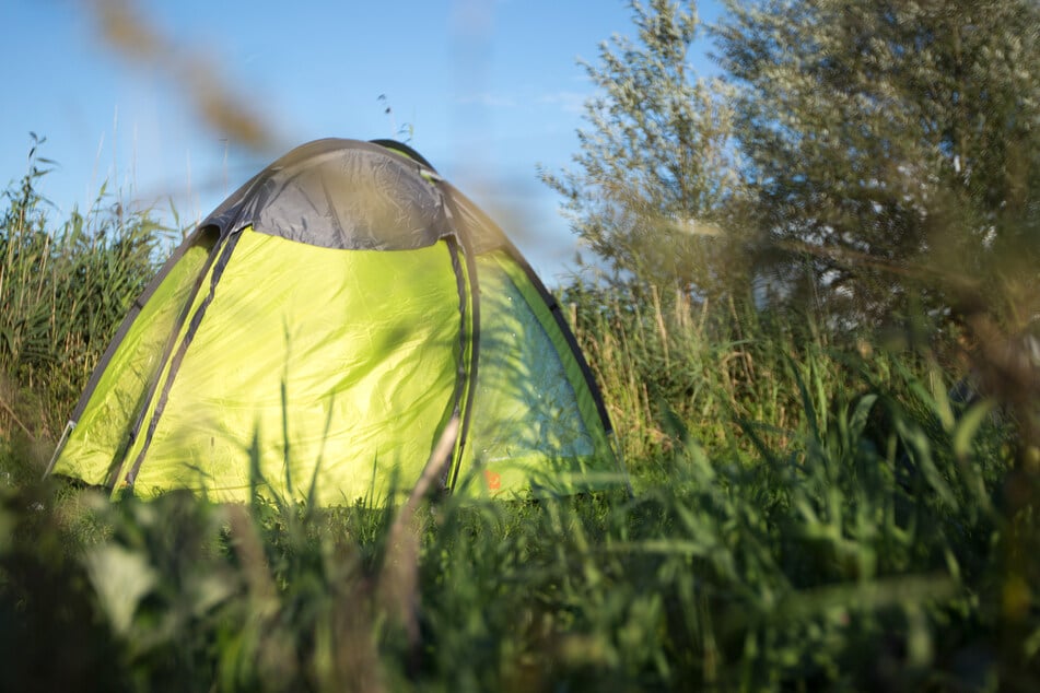 Ein Zelt mitten in der Natur aufschlagen? Wildcampen ist in den Naturschutzparks Bayerns verboten.