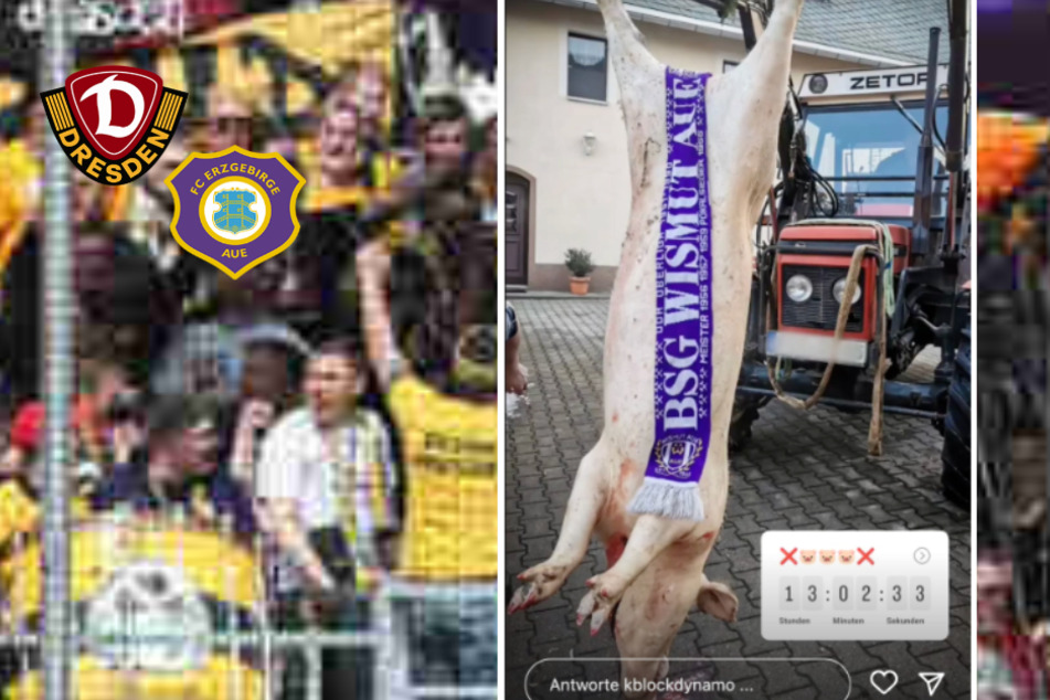 Schweinische Provokation vor Sachsenderby am Wochenende