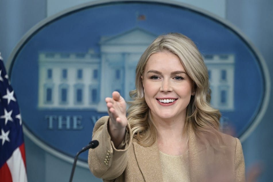 US Immigration and Customs Enforcement has hit a snag in its attempts to deport the mother of White House Press Secretary Karoline Leavitt's nephew.