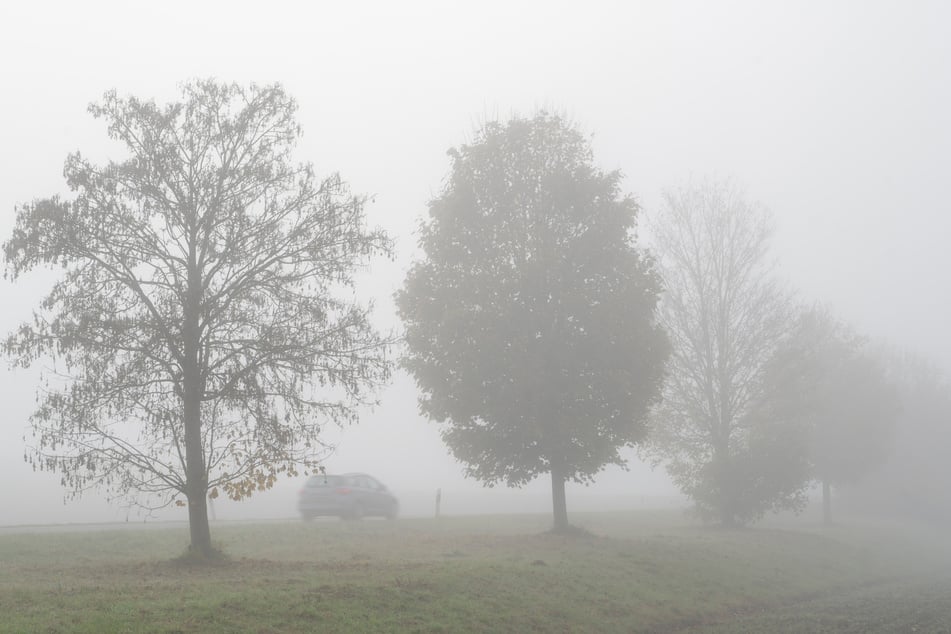 Dichter Nebel legt sich am Morgen über Köln und sorgt für graue Herbststimmung. (Symbolbild)