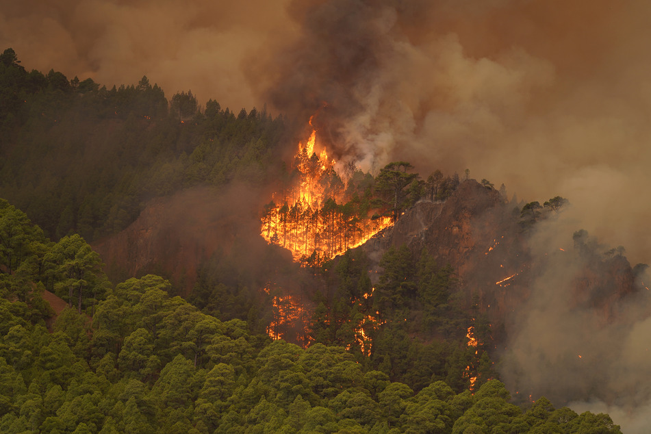 In der Nacht zu Mittwoch
                    brach auf Teneriffa zwischen den Stdten Candelaria
                    und Arafo ein Waldbrand aus.