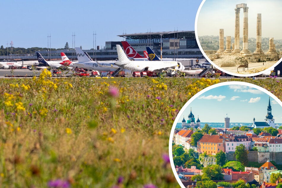 Im Sommerflugplan des Hamburger Flughafens kommen unter anderem die Reiseziele Amman und Tallinn neu dazu.