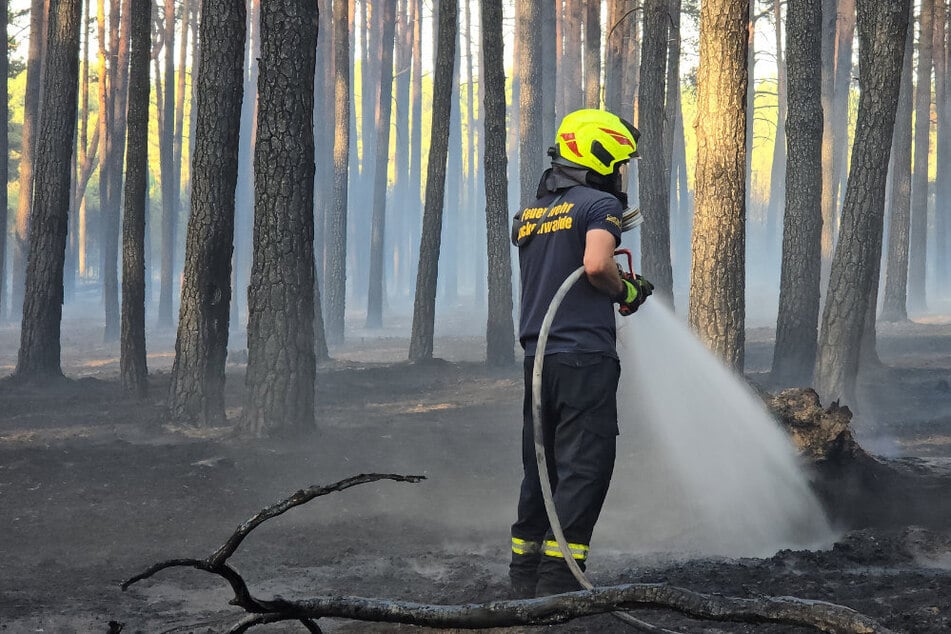 Die Hitze und Trockenheit halten die Sachsen-Anhalter Feuerwehren auf Trab. (Symbolbild)