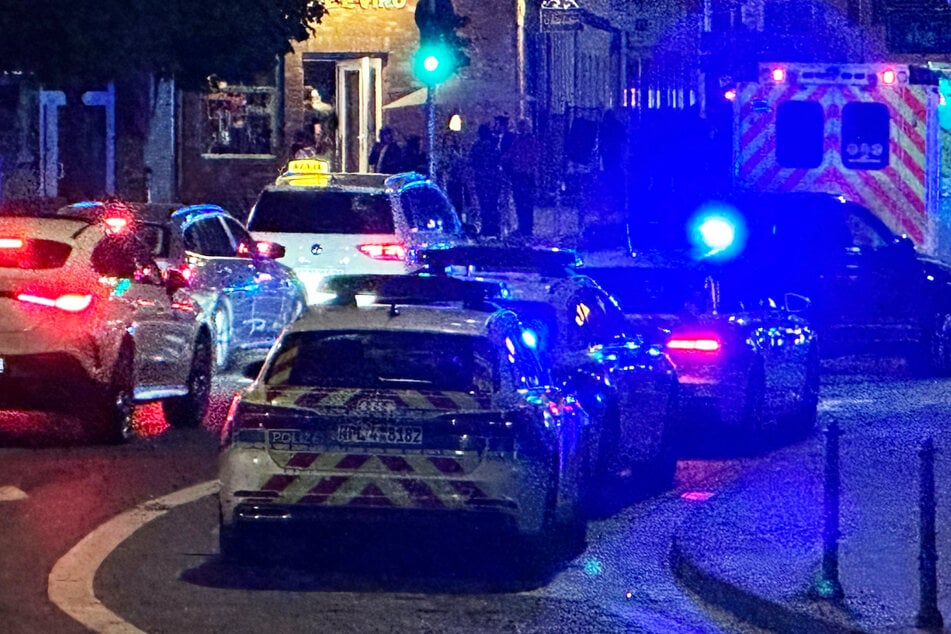 Zahlreiche Polizisten sowie eine Rettungswagen-Besatzung rückten in die Mainzer Holzhofstraße aus.