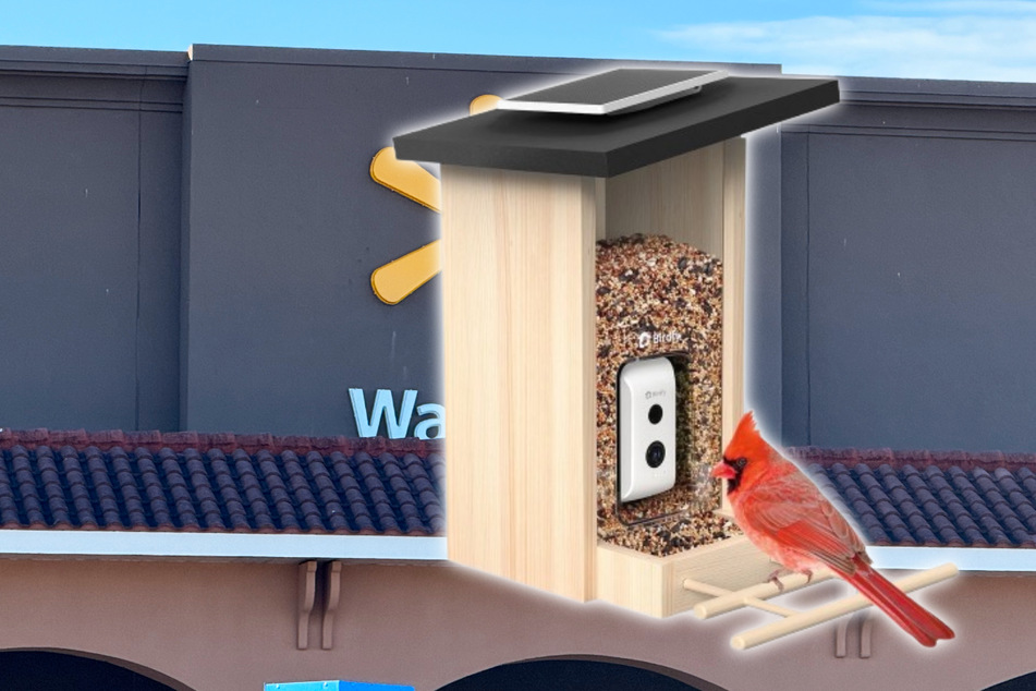 Everyone loves this camera bird feeder! It's $100 off at Walmart on Friday, March 21