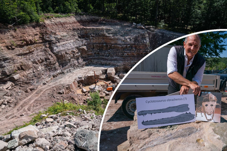 Urzeit-Krimi: Massengrab für Riesenlurche gibt Rätsel auf