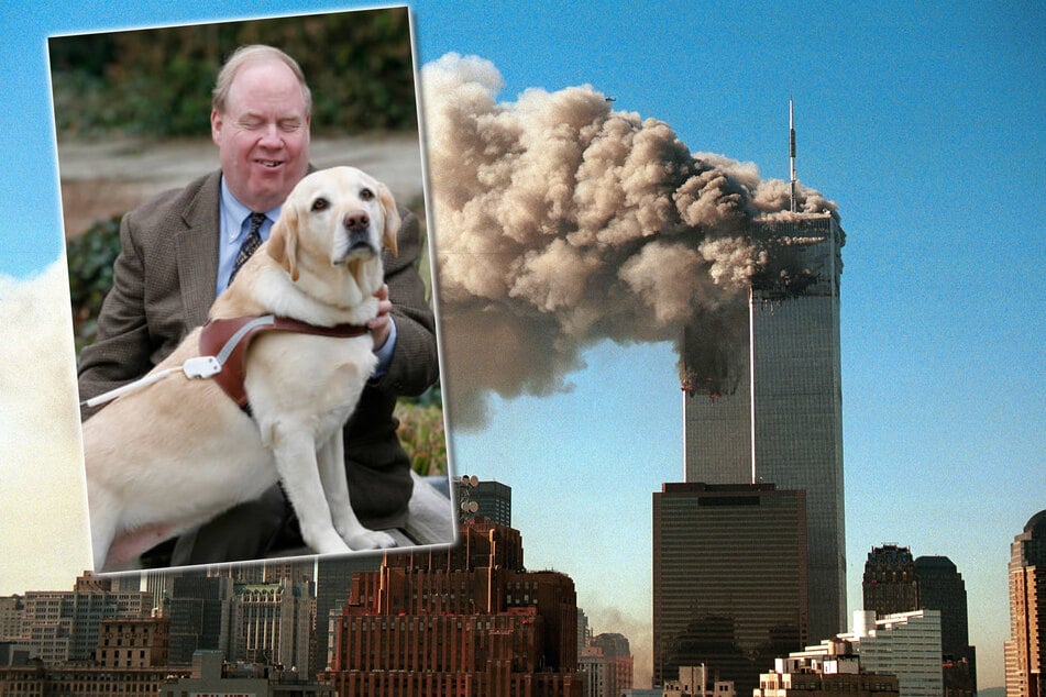 Mitten im Chaos von 9/11: Wie ein Hund sein blindes Herrchen aus dem 78. Stock rettete