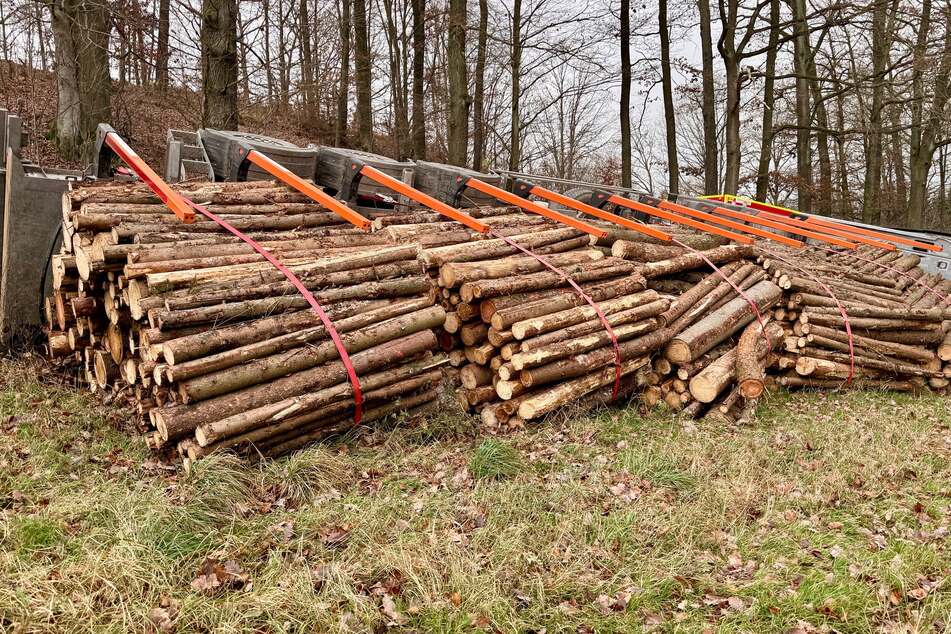Der Lastzug war vollbeladen mit Holzstämmen, noch ist unklar, weswegen der Fahrer von dem Waldweg abgekommen ist.