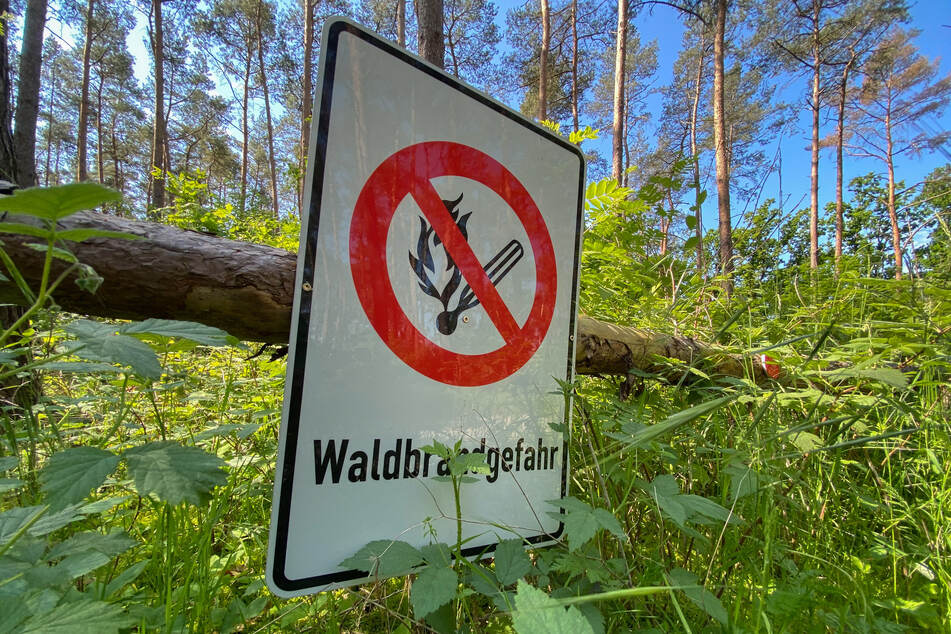 Die Zahl der Waldbrände in Sachsen sei Dank des eher nass-kalten Frühjahrs zurückgegangen.