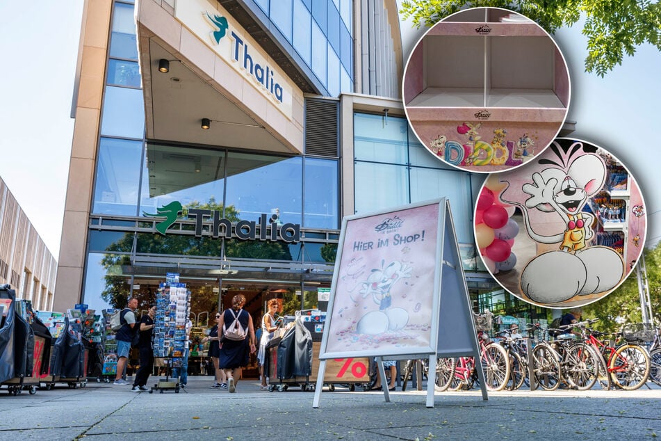 Dresden: Zwei Wochen nach Maus-Comeback: Nur noch Leere in den Diddl-Regalen