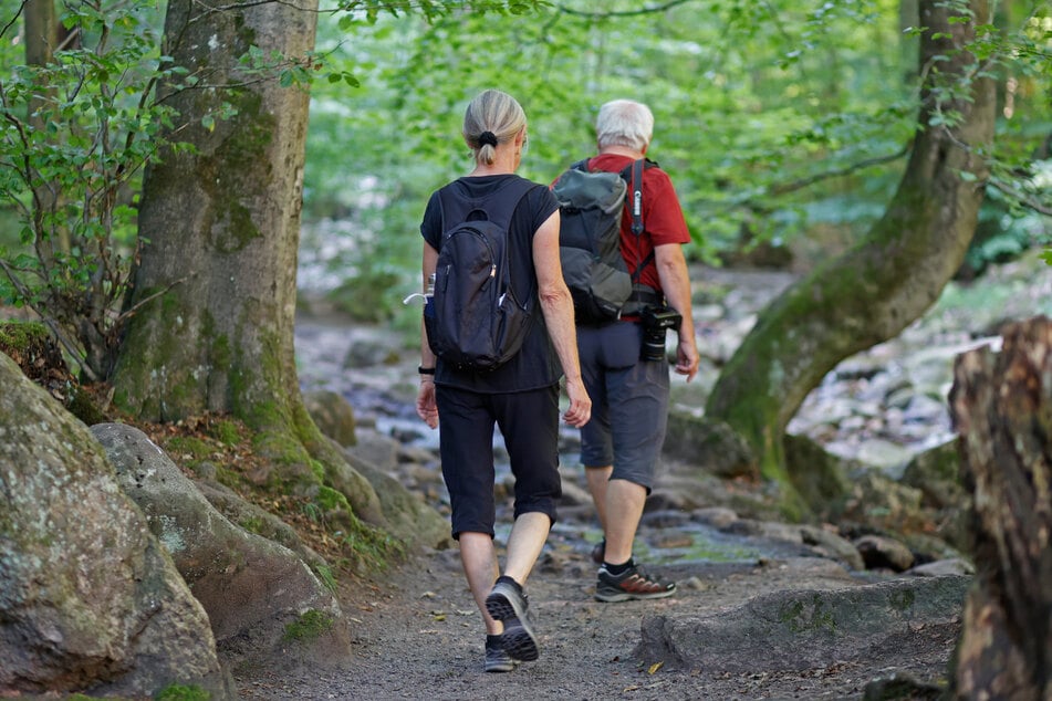 Für Wanderer wurde eine alternative Route eingerichtet. (Symbolbild)