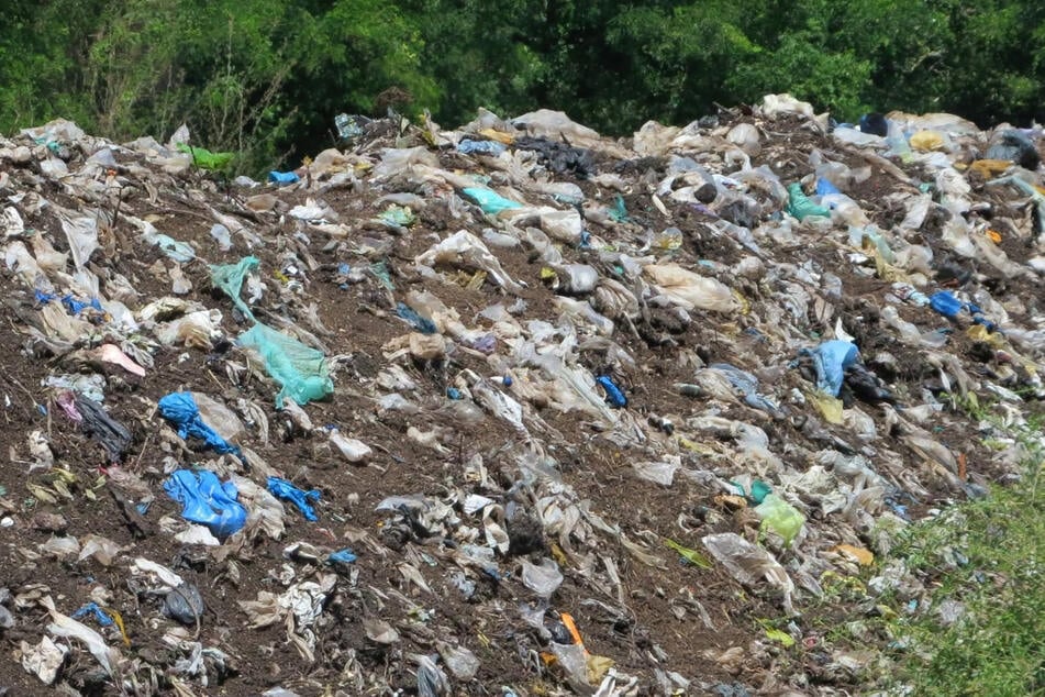 Der Bioabfall auf der Deponie Beuna sei stark mit Kunststoff- und Gummiteilen verunreinigt, so die Wildvogelhilfe.