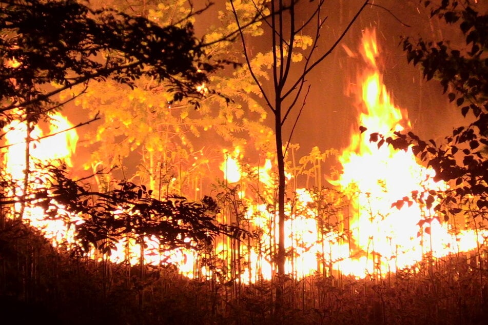 Verheerender Waldbrand in Ratingen: Fläche von etwa 20.000 Quadratmetern steht in Flammen