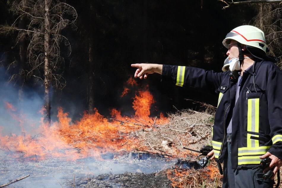 Die Feuerwehr in Nettetal wird seit Wochen durch eine Waldbrand-Serie in Atem gehalten. Nun kommt heraus: Möglicherweise waren ihre Kameraden die Feuerteufel. (Symbolfoto)