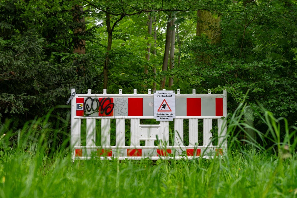 Hier starb die Französin (†55) im Großen Garten: Jetzt äußern sich die Ermittlungsbehörden.