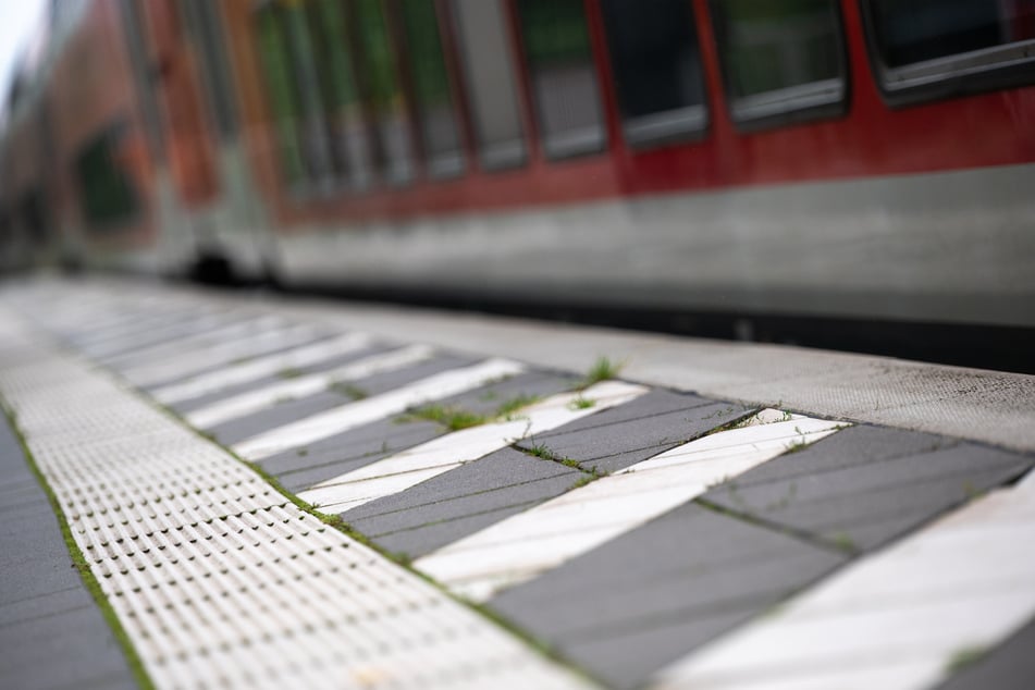 Triebtäter belästigt 18-Jährige in Regionalbahn und attackiert Zugbegleiterin