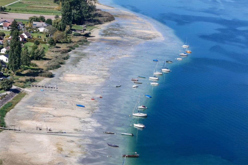 Der Bodensee zwischen Radolfzell und Reichenau ist zu flach für Ausflugsschiffe.