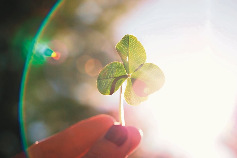 Rekordkurs: 440.000 Euro gingen 2025 an Vereine in der Region