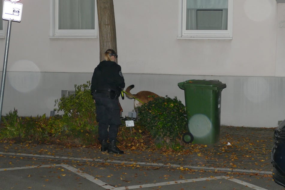 Die Beamten waren in der Nacht zu Donnerstag auch mit einem Diensthund im Einsatz.