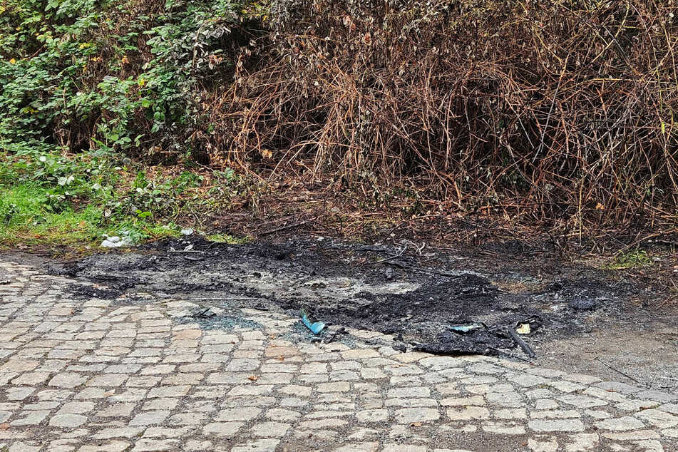 Der auf der Theklaer Straße parkende Citroen Berlingo brannte vollständig aus.