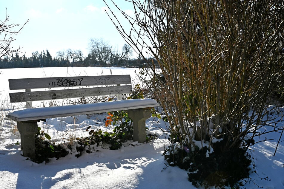 Hier feierten die jungen Männer das neue Jahr.