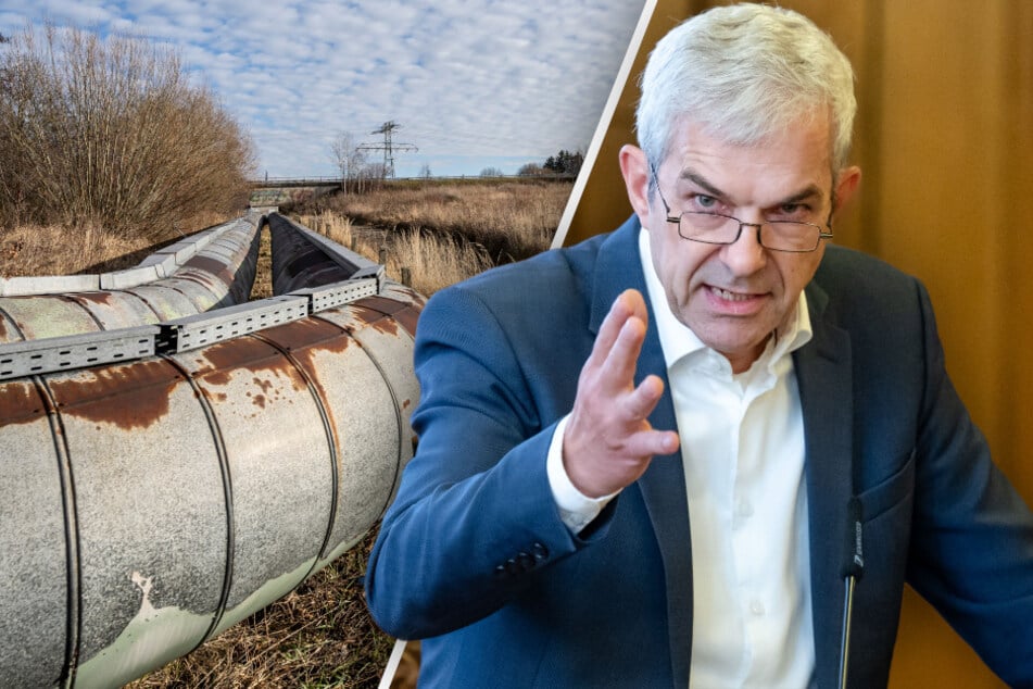 Chemnitz: Geplantes Holz-Kraftwerk in Chemnitz: Woher kommt das Brennmaterial?