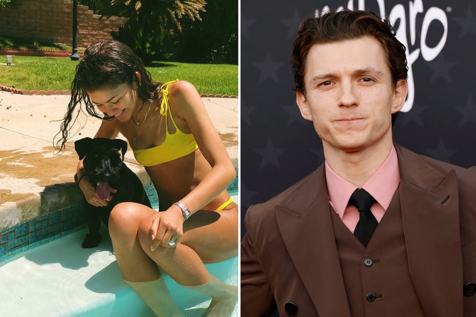 Zendaya's dog hilariously embarrasses Tom Holland as they greet fans!