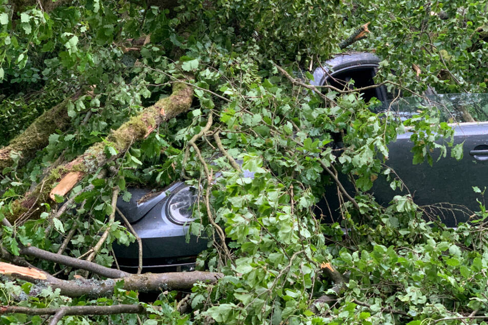 Baum stürzt bei Unwetter auf Beetle: Fahrerin in Auto eingeklemmt