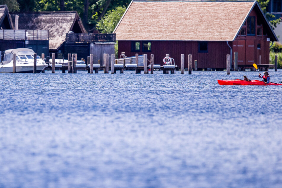 Im Schweriner See sind Blaualgen aufgetreten. (Archivbild)
