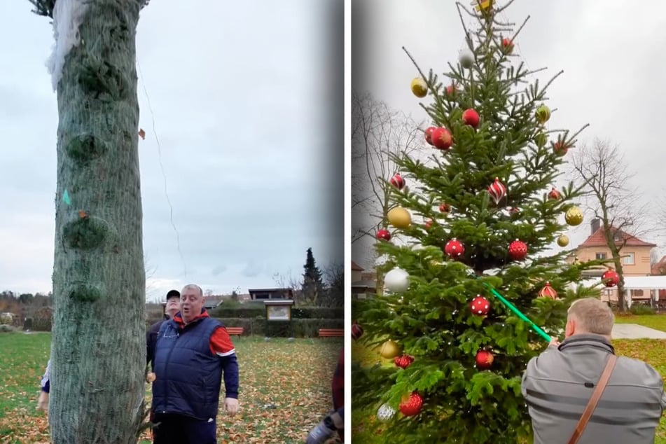 Michael Baumann (61) beim Aufstellen und Zurechtrücken des diesjährigen Weihnachtsbaums im Gartenverein.