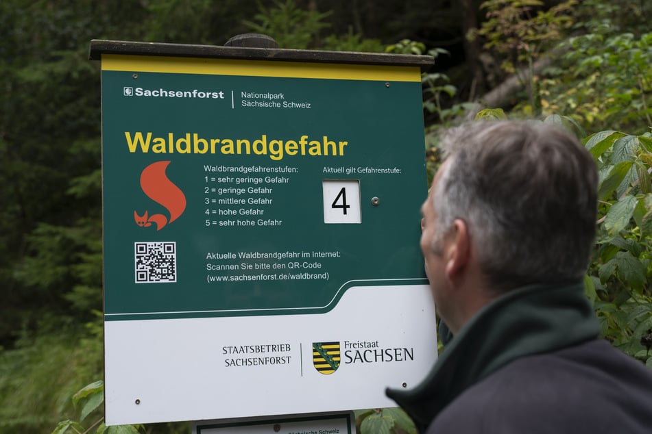 Beim Gang in den Wald gilt erhöhte Vorsicht.