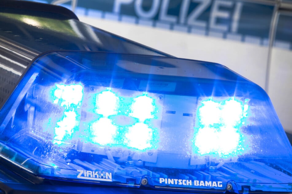 Bei der Durchsuchung wurden auch Polizeihunde eingesetzt. Ein Spielautomat und Bargeld wurden sichergestellt (Symbolbild).