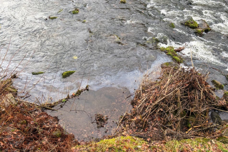 Rund 2500 Liter Heizöl landeten in der Mulde.