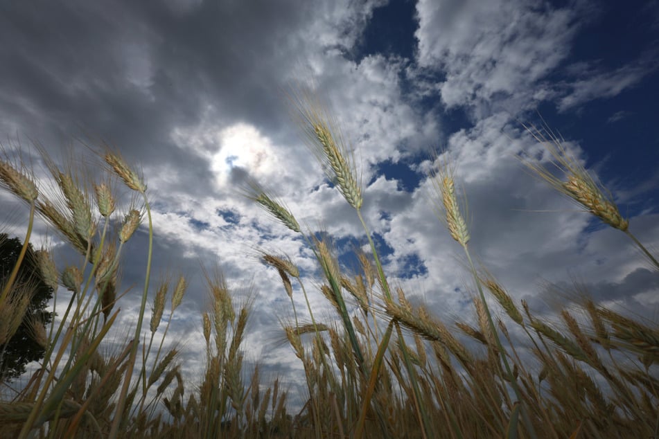 Wechselhaft startet die neue Wetter-Woche in Bayern, doch schon bald soll sich vermehrt die Sonne durchsetzen.